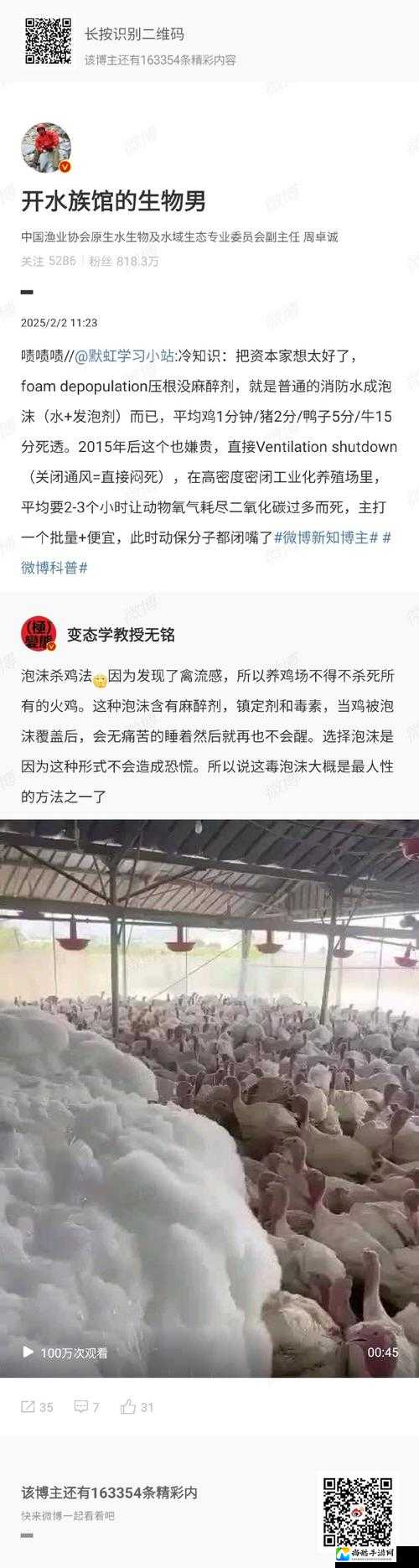 紧急救鸡！神秘视线3鸡不下蛋血泪经历+终极解决方案