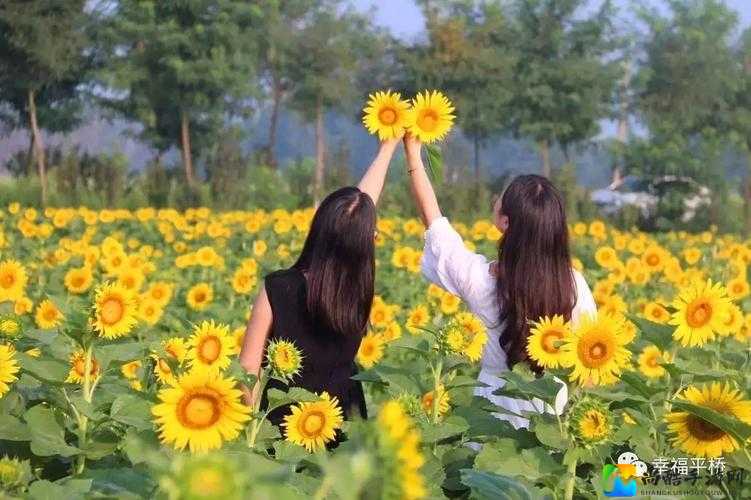 美女脱👙露出🐻吃我的🍌时，我突然明白了生活最简单的幸福