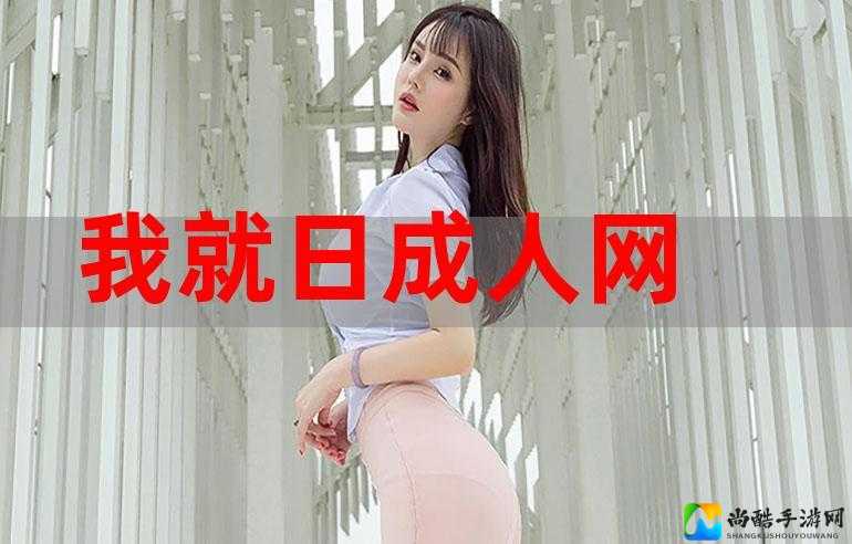 从地下论坛到成人网站：小斌们的选择背后的社会隐忧