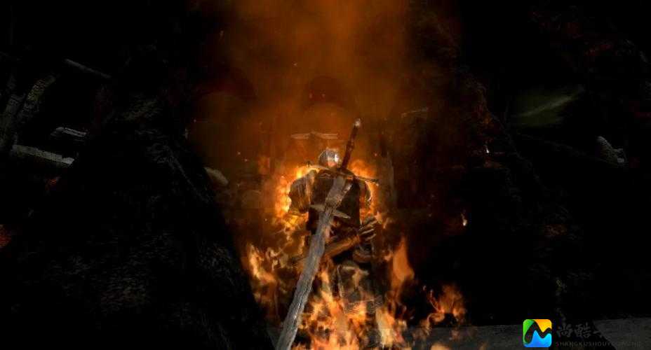 黑暗之魂2无死无火零失误通关！这波操作直接封神