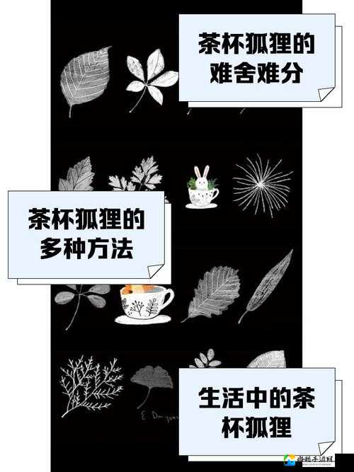 茶杯狐官网入口爆火背后：年轻人用一杯茶开启治愈时光