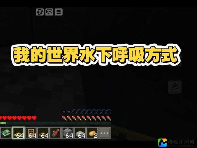 绝了！我的世界水柱BUG逆天技巧，水下无限呼吸轻松实现