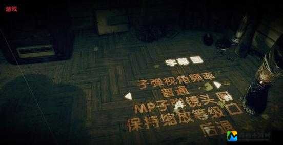 狙击精英纳粹僵尸大军黑屏必看！5招教你秒解决崩溃问题