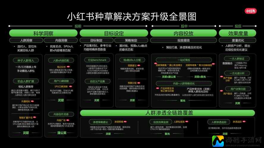 起草红桃视频背后：科技如何重塑社交未来